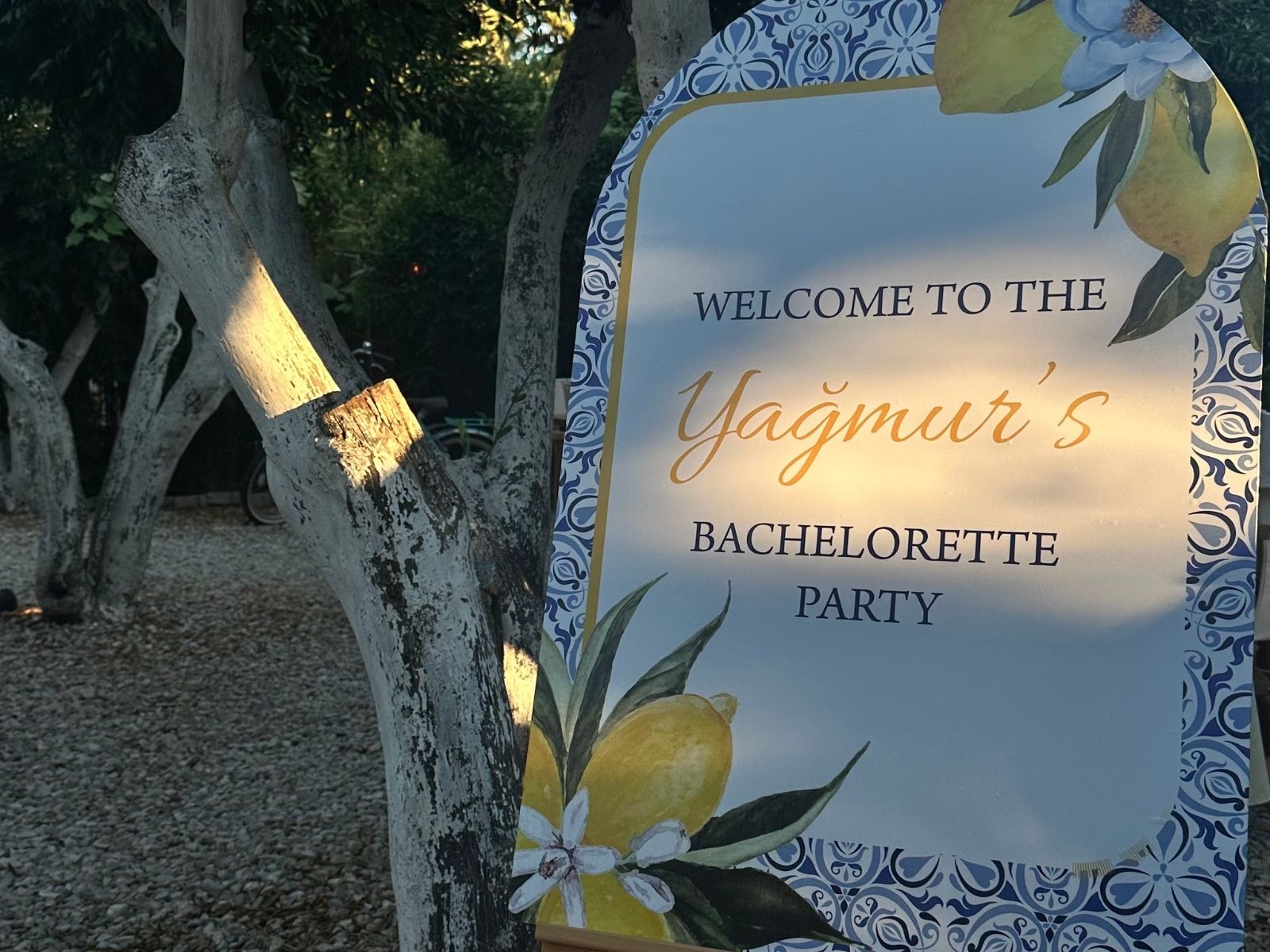 Bachelorette